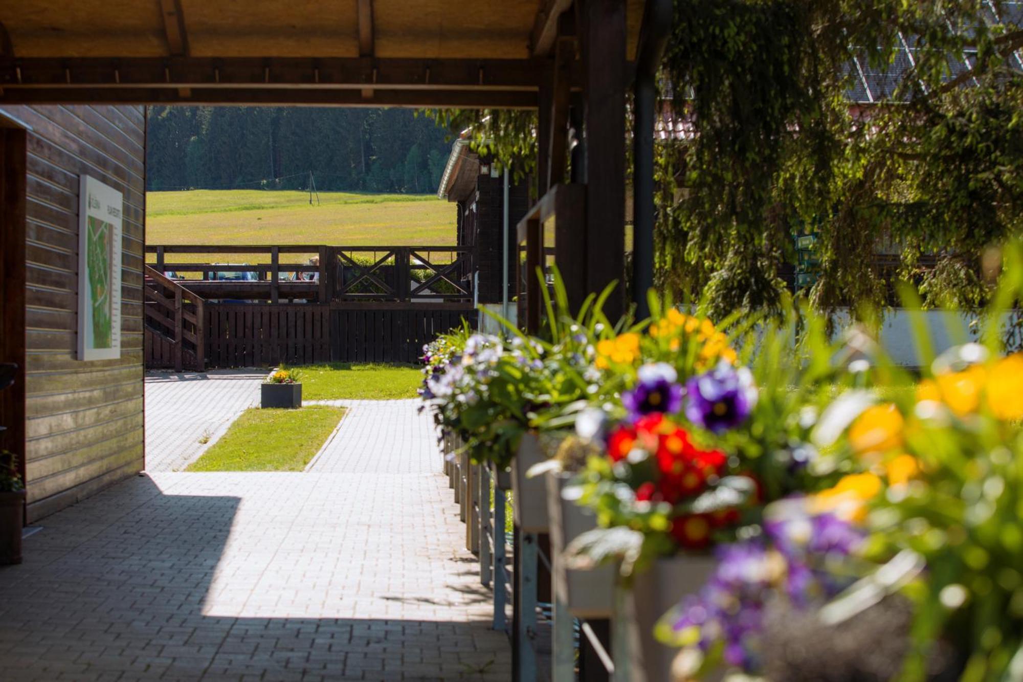 Resort Olsina ฮอร์นี ปลานา ภายนอก รูปภาพ